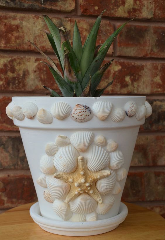 sea shells decor on pots